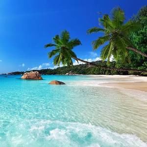 Meet your Posher, Joy